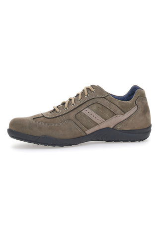 Čevlji z vezalkami Pittarello Eco 7016 Taupe