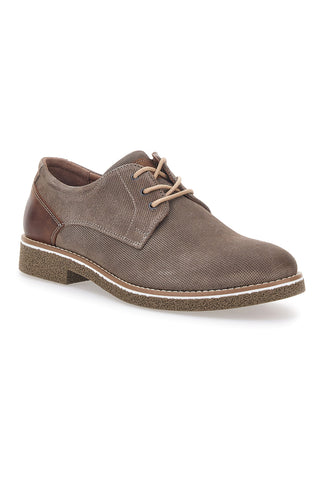 Čevlji Stringate Taupe Pittarello Eco 51005
