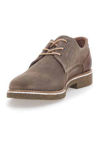 Čevlji Stringate Taupe Pittarello Eco 51005
