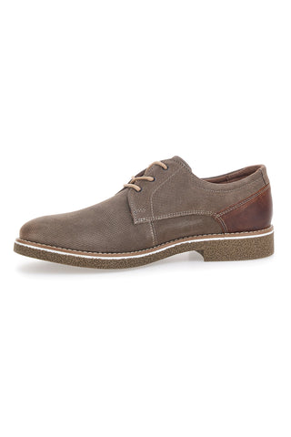 Čevlji Stringate Taupe Pittarello Eco 51005