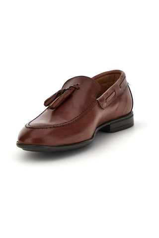 1 PITTARELLO 071 BROWN