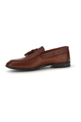 1 PITTARELLO 071 BROWN