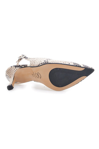 Čipke s polžem iz pitona Made in Italy Pittarello Glam 5173