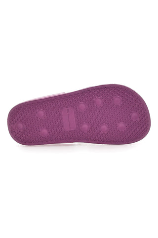 Viola copate z belim trakom CHAMPION DTN21 G PS