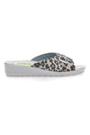 Delovni copati Coveri World 132 Leopardate