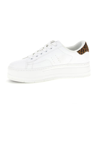 Superge Levi's Tampa White