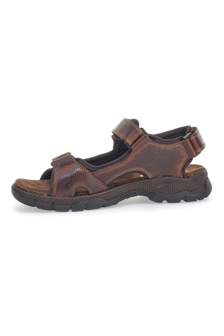Sandali Pittarello Active 4102 Rjava