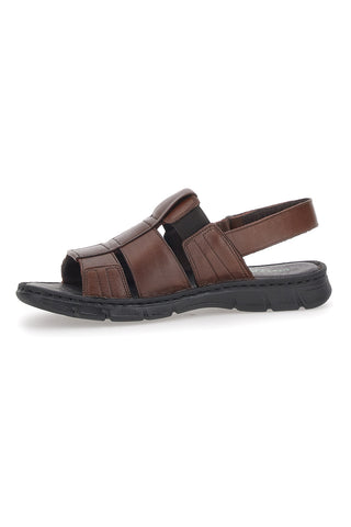 Rjave sandale Fisherman Pittarello ECO 2417985