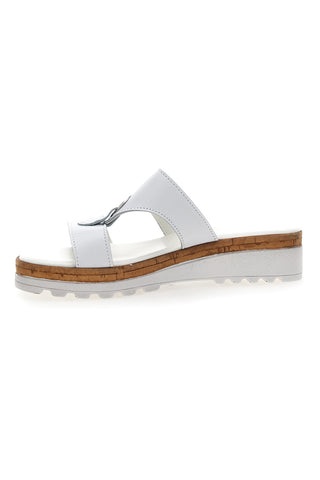 Pittarello 2410 bele copate