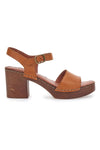Kljunke Pittarello 1145970 Rjava