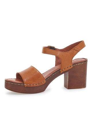 Kljunke Pittarello 1145970 Rjava