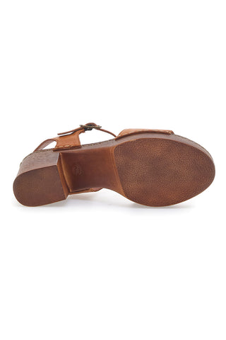 Kljunke Pittarello 1145970 Rjava