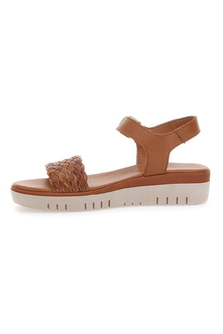 Rjave sandale Pittarello Focus 6705000