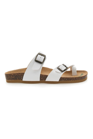 Bele japonke Bio Up 26410