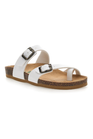 Bele japonke Bio Up 26410