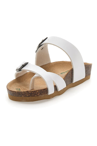 Bele japonke Bio Up 26410