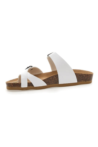 Bele japonke Bio Up 26410