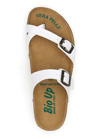 Bele japonke Bio Up 26410