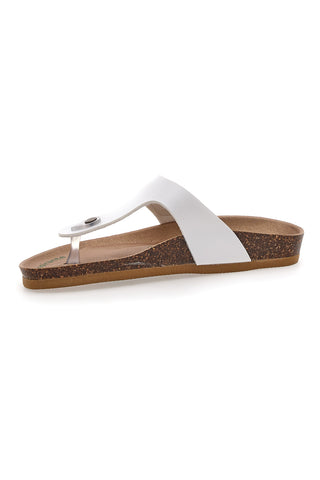 Bele japonke Bio Up 25414