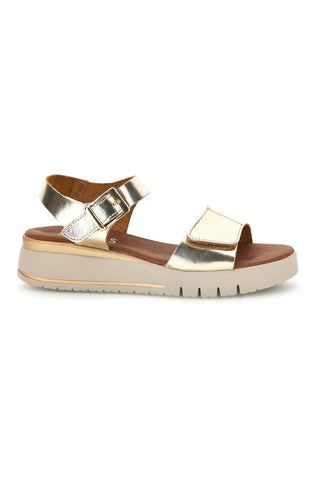 Platinasti sandali s klinom in velcro trakom Pittarello focus 5493097